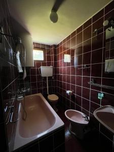 een badkamer met een bad, een toilet en een wastafel bij Šumska Tajna in Divčibare