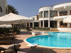 une piscine avec un parasol et un bâtiment dans l'établissement Red Sea Relax Hotel, à Dahab