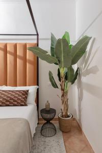 a plant sitting next to a bed in a bedroom at A World Aparts - 21 T. Argentina in Rome