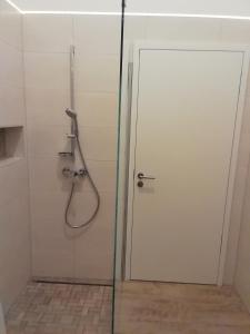 een badkamer met een douche en een glazen deur bij Loewe Bad Frankenhausen in Bad Frankenhausen