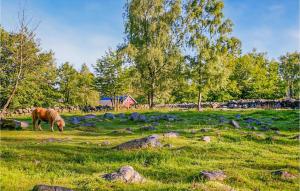 um cavalo a pastar num campo com algumas rochas em Gorgeous Home In Hrby With House Sea View em Hörby