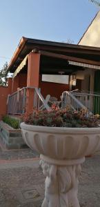 a large white planter in front of a building at Casa Vacanze Mimose in Palinuro