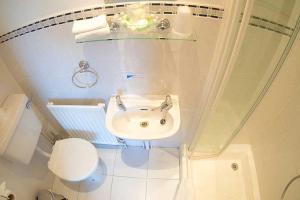 a bathroom with a sink and a toilet at The Coast Yard B & B and Garden Chalets in Chichester