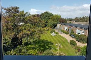 an aerial view of a yard with two animals in the grass at The Coast Yard B & B and Garden Chalets in Chichester