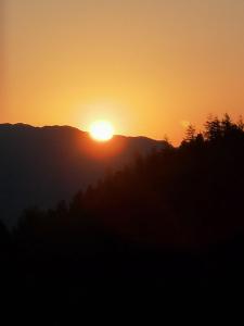 a sunset on a mountain with trees in the foreground at Kuanerhof Wohnung 2 Personen in Ried im Zillertal