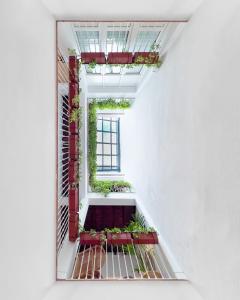 a room with a window and plants on the stairs at Casa Bailen Sevilla in Seville