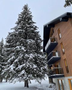 a snow covered pine tree in front of a building at Apartmán Snow in Oravská Lesná