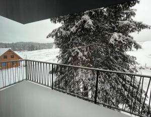 un árbol cubierto de nieve en el balcón de una casa en Apartmán Snow en Oravská Lesná