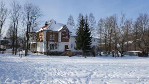 ザコパネにあるTatryTop Studio Krupówkiの雪庭白家