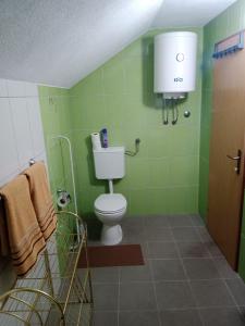 a bathroom with a toilet and a green wall at Blossom Cottage in Laktaši