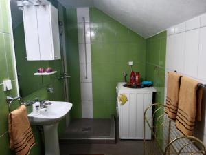 baño verde con lavabo y ducha en Blossom Cottage en Laktaši