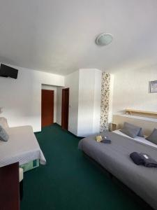 a hotel room with two beds and green carpet at Penzion Erika in Boží Dar