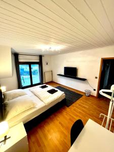 1 dormitorio con 1 cama grande y TV de pantalla plana en Praktisches Zimmer im Großen Haus mit garten, en Düsseldorf
