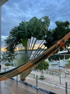 アウテル・ド・ションにあるCasa da Orlaの浜辺のヤシの木彫り