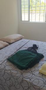 un gato sentado en una almohada verde en una cama en COMPLEJO PONTA das BRILLES. DTO. 2., en Barra de Tabatinga