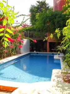 a large blue swimming pool in a yard with flowers at Navila René in Ibiza Town