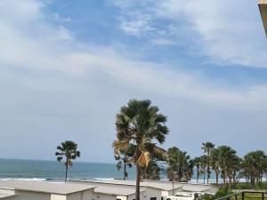 vistas a una playa con palmeras y al océano en Relax Water Front Serviced Apartment (Three Bedroom), en Bijilo