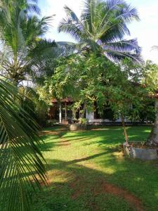 einen Hof mit Palmen vor einem Haus in der Unterkunft The Madampa Village Side Lodge in Ambalangoda