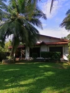 ein Haus mit einer Palme im Hof in der Unterkunft The Madampa Village Side Lodge in Ambalangoda