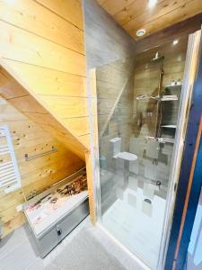 a room with a sauna with a sink at Studio Du Moulin in Saint-Laurent-dʼAndenay