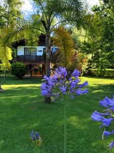una flor púrpura en la hierba con una casa en el fondo en Alpenhaus Bier und Gasthaus en Tigre