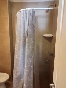 e bagno con doccia con tenda di plastica. di Apart del Centro 02 a Santa Fe Altre 16 foto