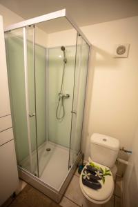 a bathroom with a glass shower with a toilet at guesthome la petite salette in Monestier-de-Clermont