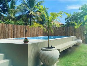 una planta en una olla grande junto a una piscina en Carpe Diem Suítes Taipu de Fora, en Maraú