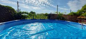 una gran piscina con agua azul en un patio en Erdőterasz Vendégház - Rusztikus Apartman, en Kehidakustány