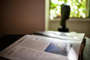 Fotografija v galeriji nastanitve Albergo Diffuso Crispolti v mestu Labro