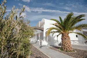 a palm tree in front of a white building at Aspro Phos Santorini Hotel in Perissa