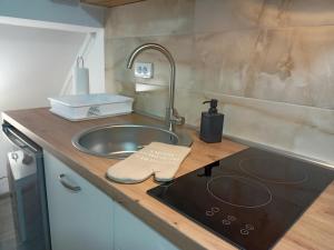 a small kitchen with a sink and a stove at Apartman Mina 1 in Vrdnik
