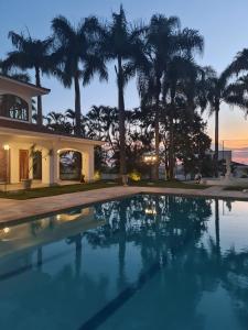 a villa with palm trees and a swimming pool at Pousada Vila Alto dos Pinhais in Espirito Santo Do Pinhal
