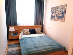 Posteľ alebo postele v izbe v ubytovaní Rental Apartment Trębacka