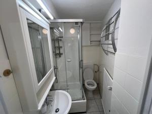 La salle de bains est pourvue d'une douche et de toilettes. dans l'établissement Schönes einfaches Zimmer in Oldenburg 109, à Oldenbourg