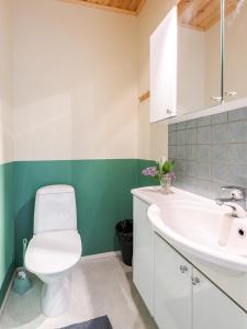 ein Badezimmer mit einem weißen WC und einem Waschbecken in der Unterkunft Kujanpää | Paajoen Vuokramökit in Himos