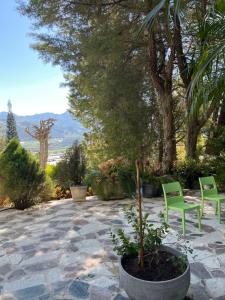 eine Terrasse mit 2 Stühlen und einer Topfpflanze in der Unterkunft Villa Paloma/ Home/ Office-Remote Office in Constanza