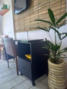 una maceta sentada junto a un escritorio con una planta en Flat 711 Golden Beach, en Recife
