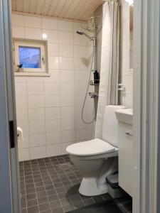a bathroom with a toilet and a shower and a sink at M Apartments Rahola in Tampere