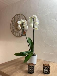 a vase with white flowers sitting on a table at Appartement Type 2 de 40m2 avec spa privatif in Ventabren