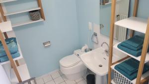 een kleine badkamer met een toilet en een wastafel bij Eco-gîte Le Batut 
