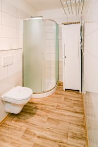 La salle de bains est pourvue d'une douche et de toilettes. dans l'établissement Rekreační dům na Podlesí, à Blansko