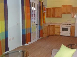 an empty kitchen with colorful walls and wooden cabinets at Diamond View Cottages in Roseau