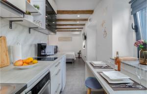 uma cozinha com uma tigela de laranjas num balcão em Lovely Home In Hreljin With House Sea View em Hreljin