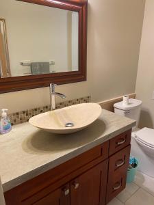 a bathroom with a sink and a mirror at Under the Tree - Bed & Breakfast in Kelowna