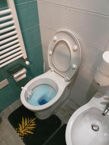een badkamer met een toilet met de bril omhoog bij La Torre B&B in Avellino