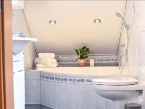 a bathroom with a toilet and a bath tub at Ferienwohnung am Sattelhof #2 in Türnitz