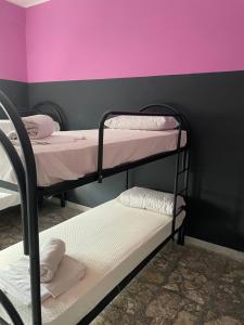 Rúm í herbergi á Alexander hostel