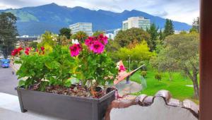 a flower pot sitting on a window sill with flowers at Hotel Inti Quito in Quito