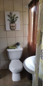 a bathroom with a toilet and a plant on the wall at Dreamcatcher House Bus Experience 2 in Sarchí